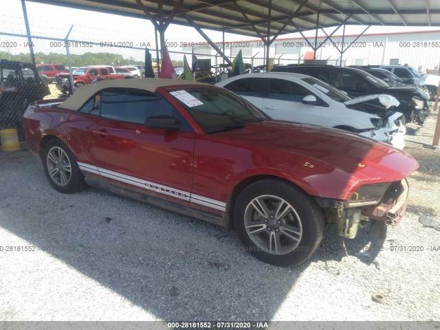 FORD MUSTANG 2011 1zvbp8em6b5117857