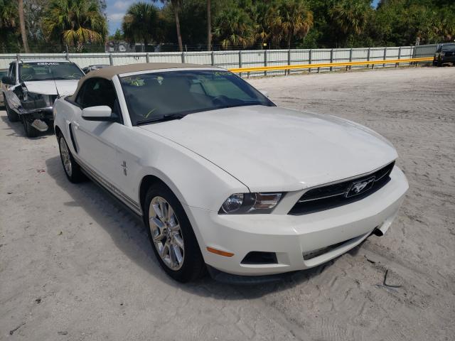 FORD MUSTANG 2011 1zvbp8em6b5124484