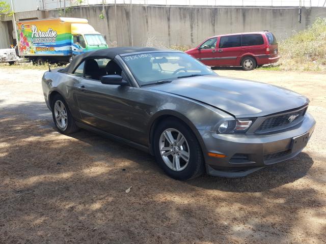 FORD MUSTANG 2011 1zvbp8em6b5129006