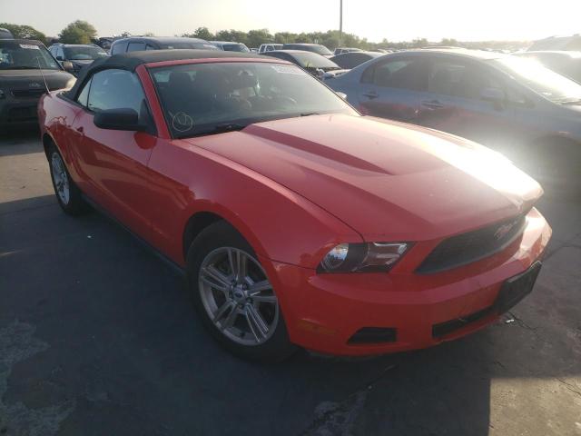 FORD MUSTANG 2011 1zvbp8em6b5129328