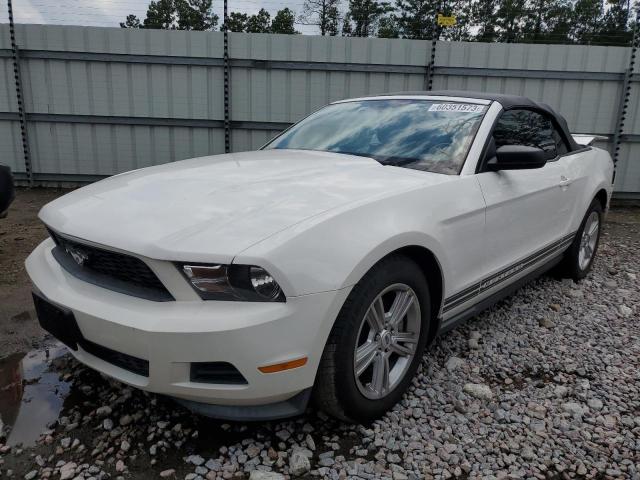 FORD MUSTANG 2011 1zvbp8em6b5137722