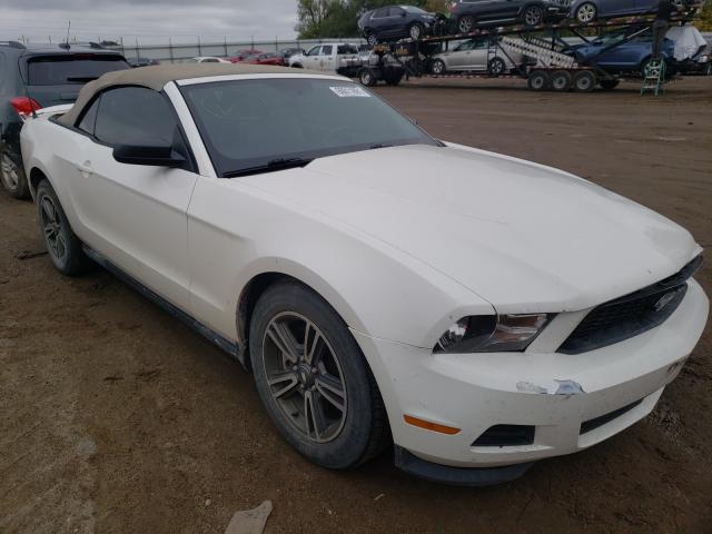 FORD MUSTANG 2011 1zvbp8em6b5159302