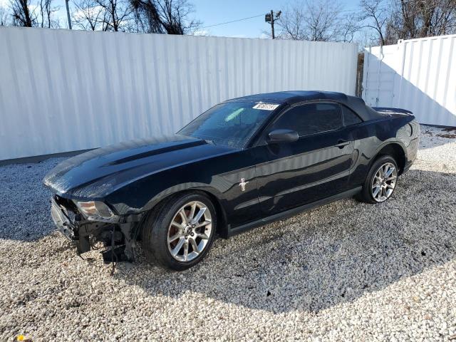 FORD MUSTANG 2011 1zvbp8em6b5162572