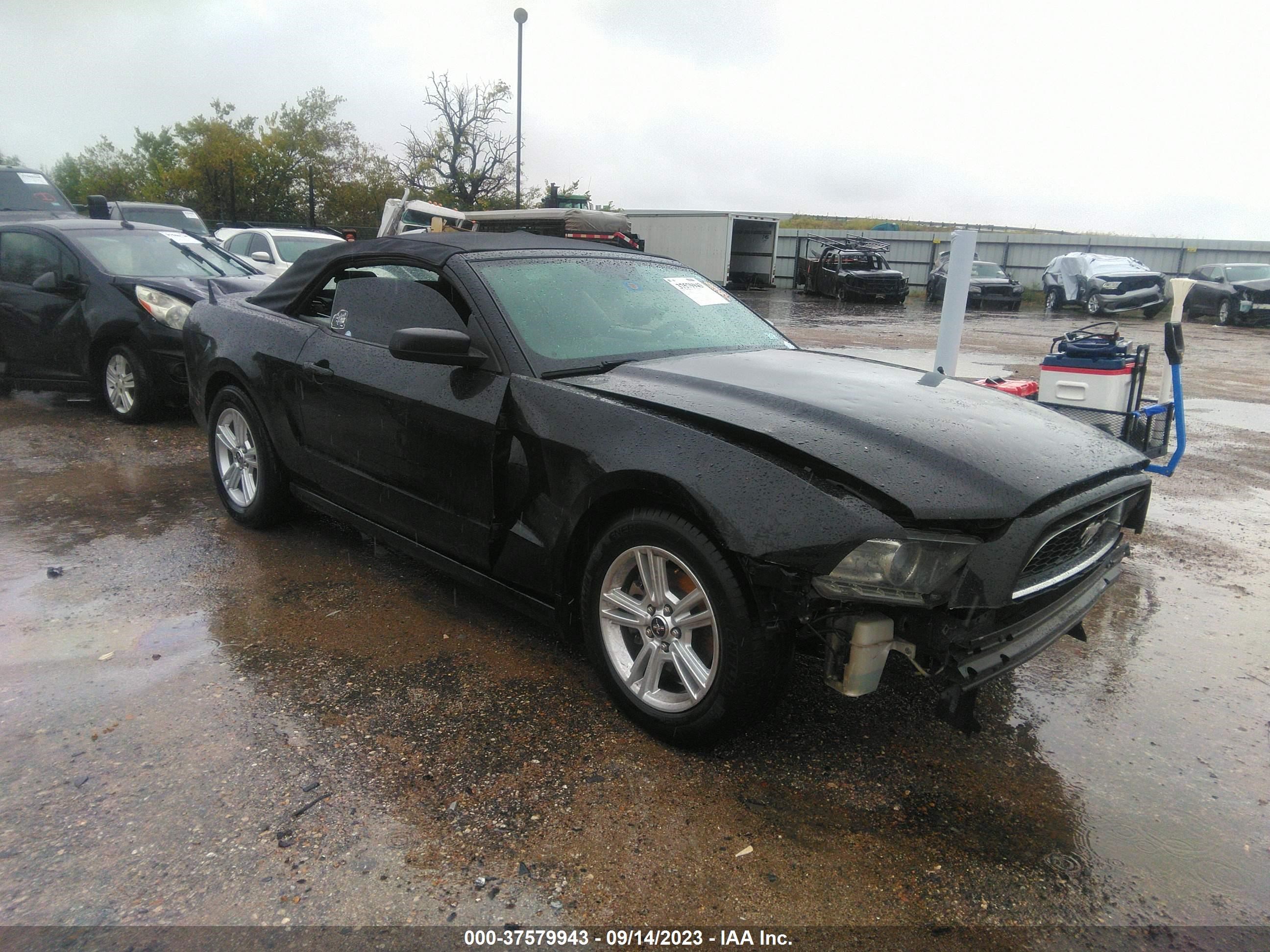 FORD MUSTANG 2013 1zvbp8em6d5236687