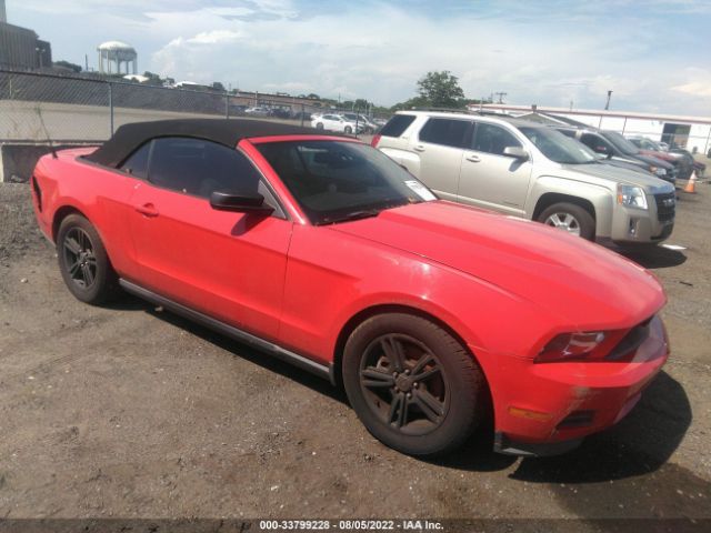 FORD MUSTANG 2011 1zvbp8em7b5100274