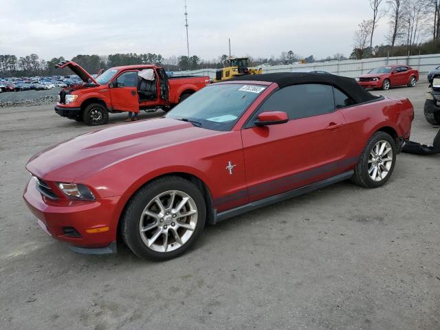 FORD MUSTANG 2011 1zvbp8em7b5100629