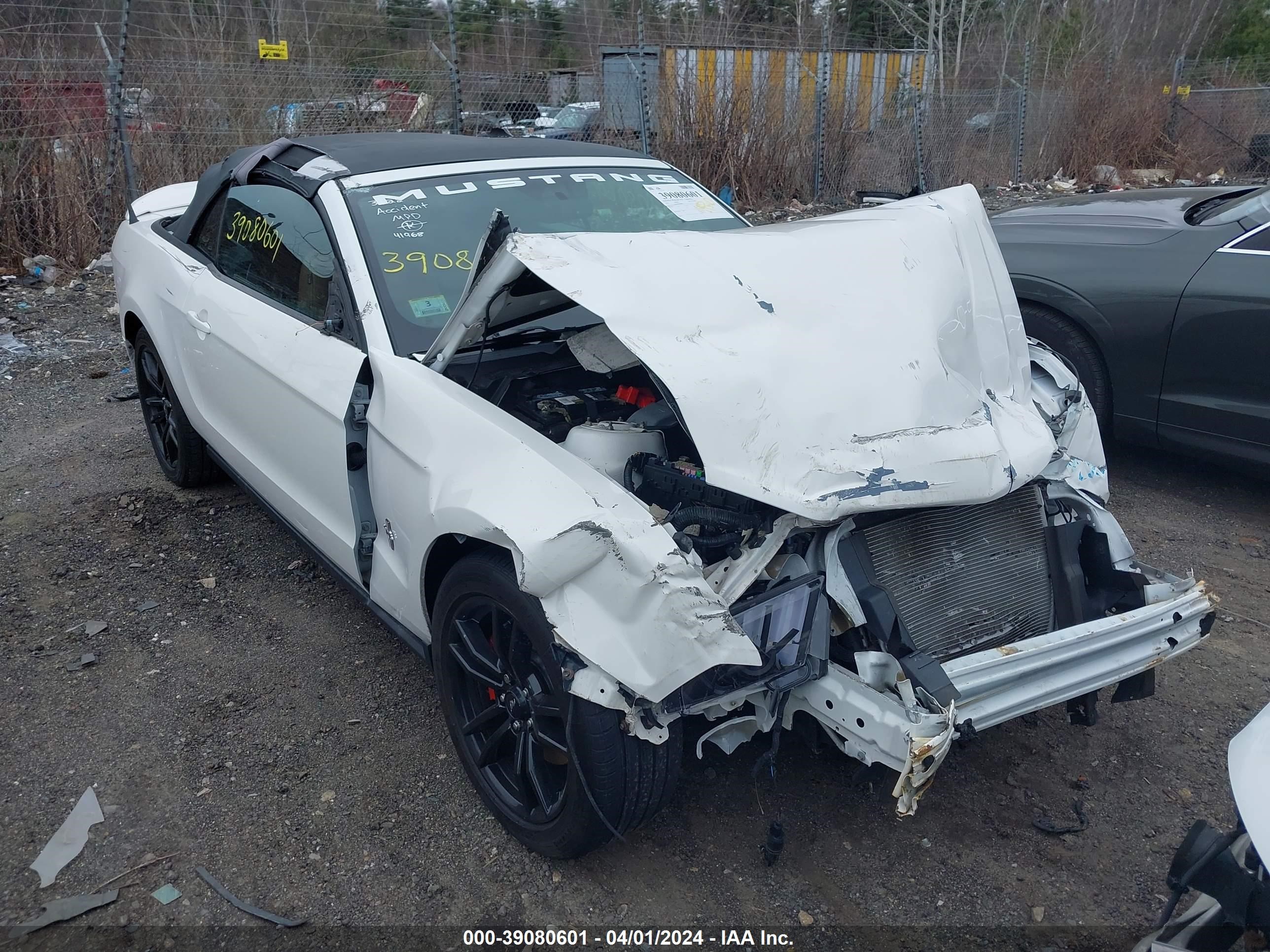 FORD MUSTANG 2011 1zvbp8em7b5109928