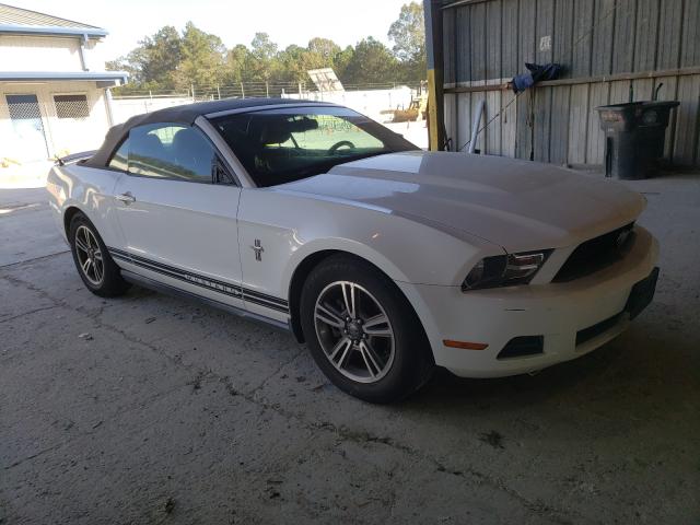 FORD MUSTANG 2011 1zvbp8em7b5115471