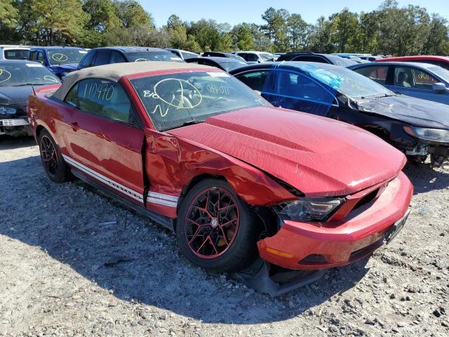 FORD MUSTANG 2011 1zvbp8em7b5120041