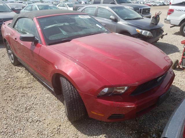 FORD MUSTANG 2011 1zvbp8em7b5120363