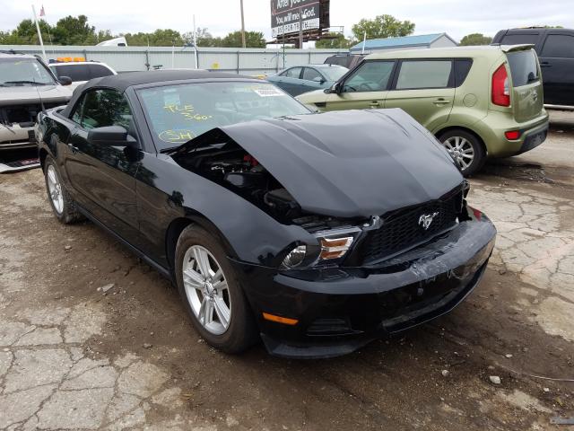 FORD MUSTANG 2011 1zvbp8em7b5129418