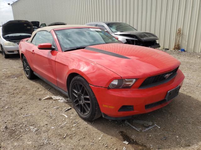 FORD MUSTANG 2011 1zvbp8em8b5112238