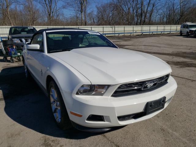 FORD MUSTANG 2011 1zvbp8em8b5114572