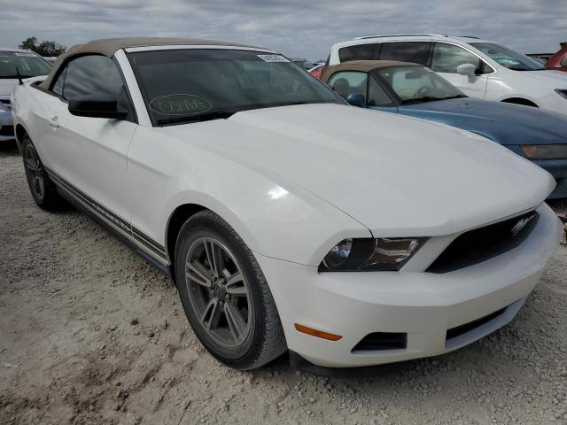 FORD MUSTANG 2011 1zvbp8em8b5117813