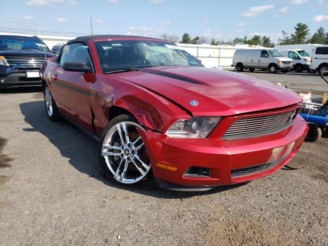 FORD MUSTANG 2011 1zvbp8em8b5123546