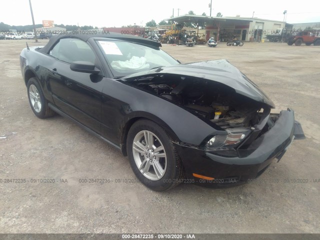 FORD MUSTANG 2011 1zvbp8em8b5128990