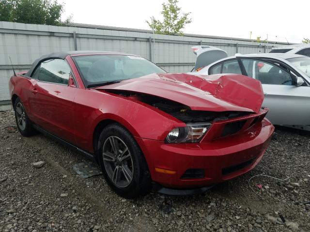 FORD MUSTANG 2011 1zvbp8em8b5145076