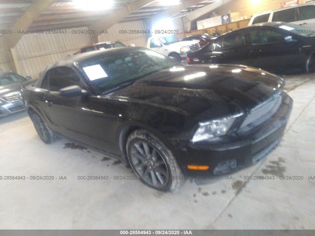 FORD MUSTANG 2011 1zvbp8em8b5161178