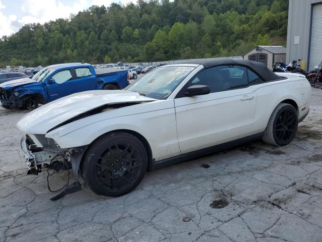 FORD MUSTANG 2011 1zvbp8em8b5163464