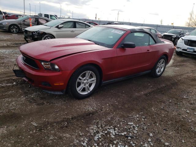 FORD MUSTANG 2012 1zvbp8em8c5226273