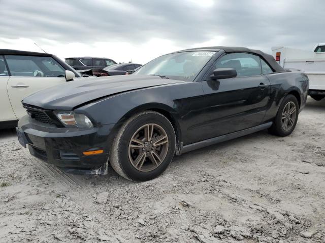 FORD MUSTANG 2012 1zvbp8em8c5279488