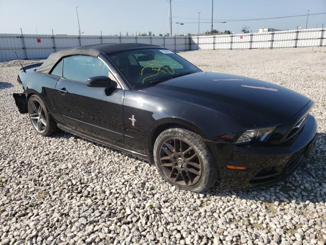 FORD MUSTANG 2013 1zvbp8em8d5261820