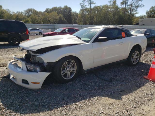 FORD MUSTANG 2011 1zvbp8em9b5103998