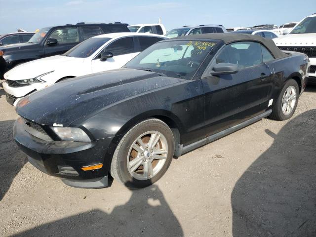 FORD MUSTANG 2011 1zvbp8em9b5115794