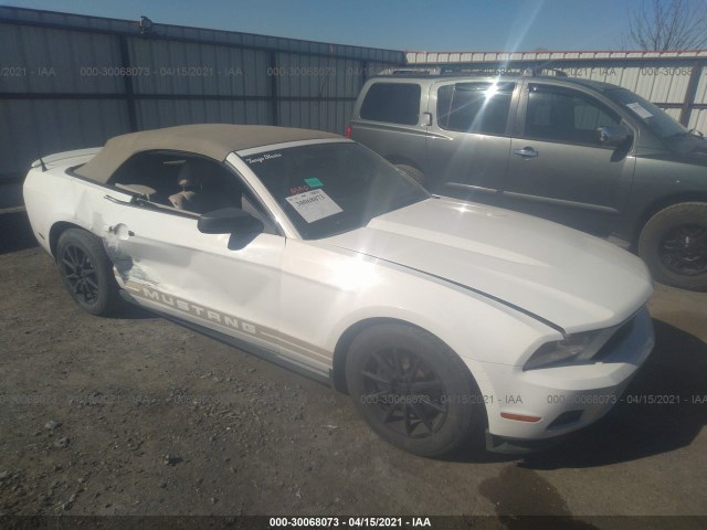 FORD MUSTANG 2011 1zvbp8em9b5120543