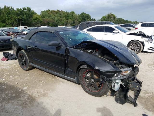 FORD MUSTANG 2011 1zvbp8em9b5124284