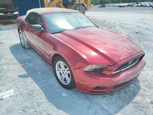 FORD MUSTANG 2014 1zvbp8em9e5320648