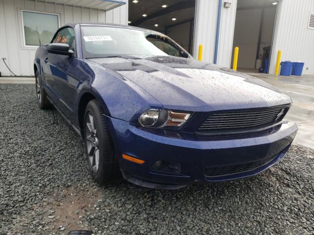 FORD MUSTANG 2011 1zvbp8emxb5101516