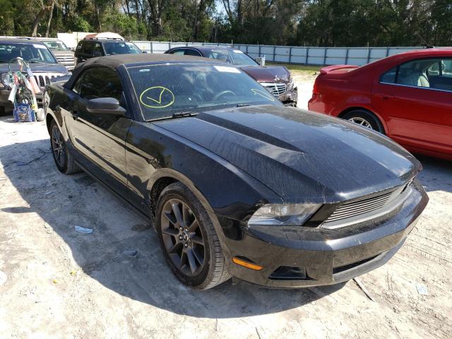 FORD MUSTANG 2011 1zvbp8emxb5101550