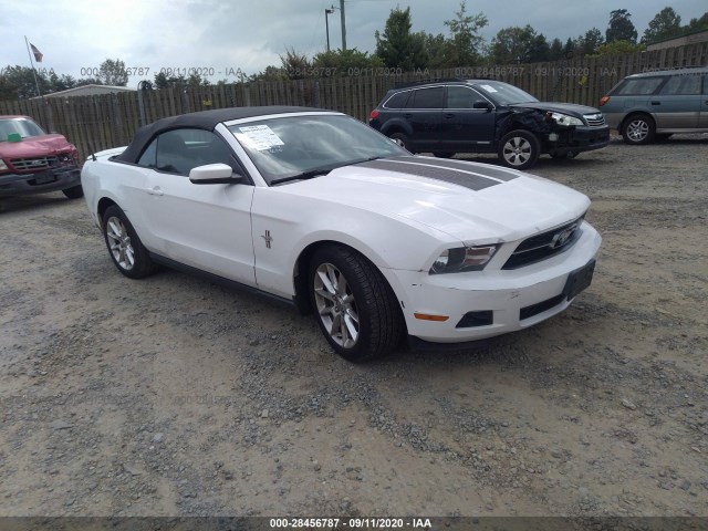 FORD MUSTANG 2011 1zvbp8emxb5102794