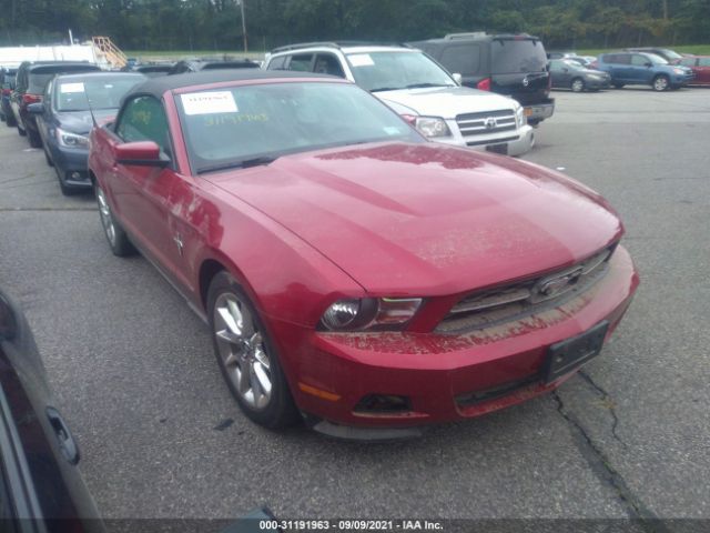 FORD MUSTANG 2011 1zvbp8emxb5121958