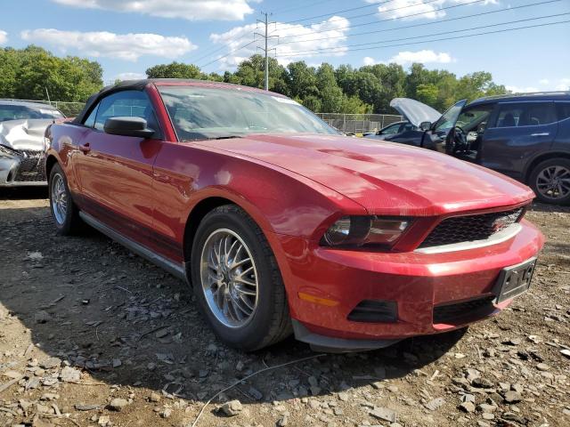 FORD MUSTANG 2011 1zvbp8emxb5124584