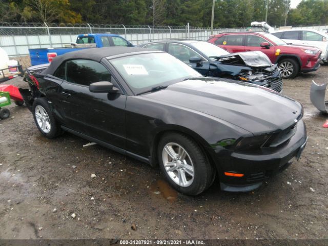 FORD MUSTANG 2011 1zvbp8emxb5133446