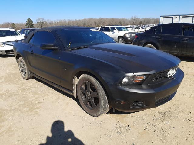 FORD MUSTANG 2011 1zvbp8emxb5135410