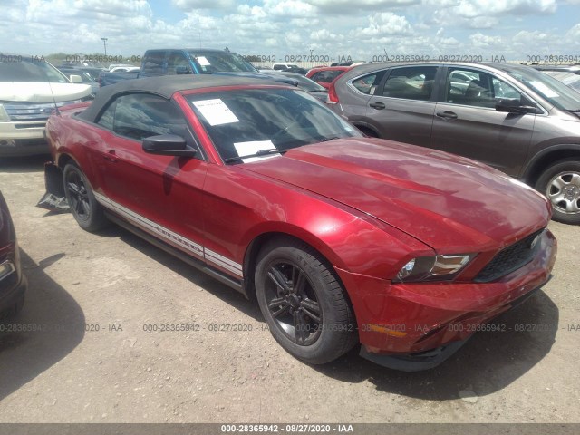 FORD MUSTANG 2011 1zvbp8emxb5154121