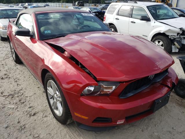 FORD MUSTANG 2011 1zvbp8emxb5159402