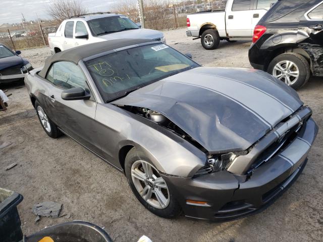 FORD MUSTANG 2014 1zvbp8emxe5307049