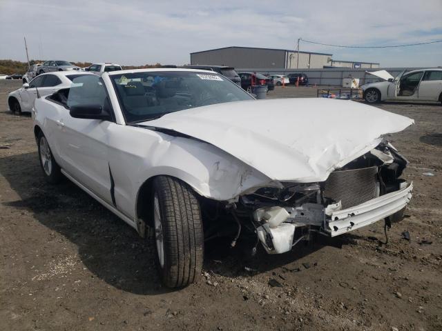 FORD MUSTANG 2014 1zvbp8emxe5330394