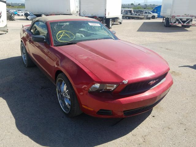 FORD MUSTANG 2010 1zvbp8en0a5110734