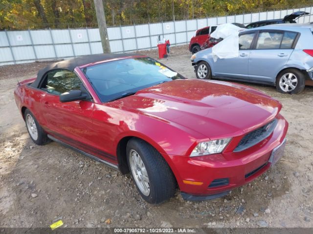 FORD MUSTANG 2010 1zvbp8en0a5121877