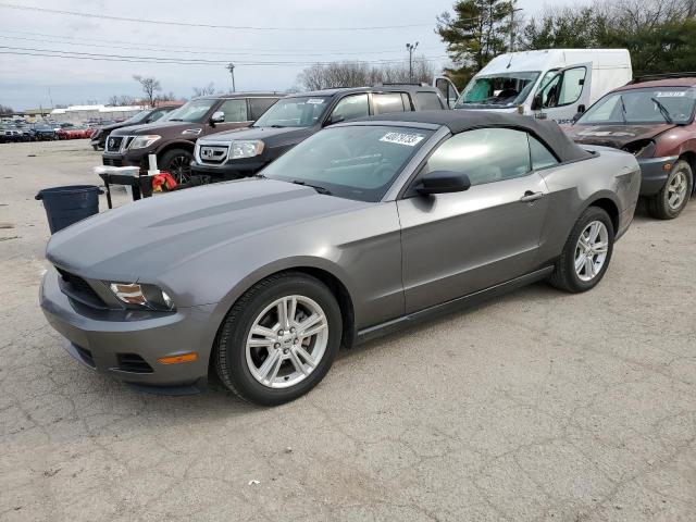 FORD MUSTANG 2010 1zvbp8en0a5163000