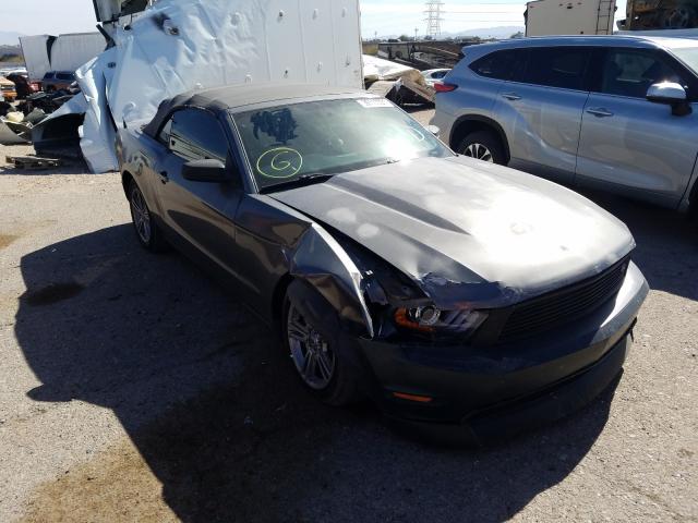 FORD MUSTANG 2010 1zvbp8en0a5163112