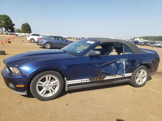 FORD MUSTANG 2010 1zvbp8en0a5181609