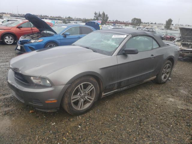 FORD MUSTANG 2010 1zvbp8en1a5109706