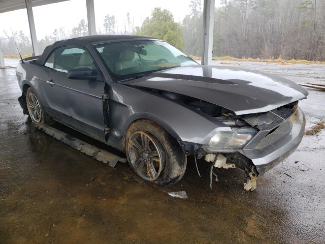 FORD MUSTANG 2010 1zvbp8en1a5110242