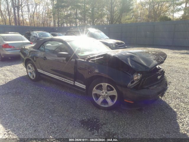 FORD MUSTANG 2010 1zvbp8en1a5112413